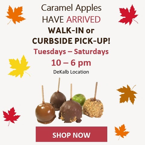 Shop now for Caramel Apples at The DeKalb Confectionary!