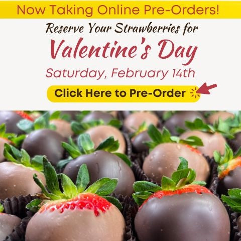 Pre-Order Chocolate Covered Strawberries!