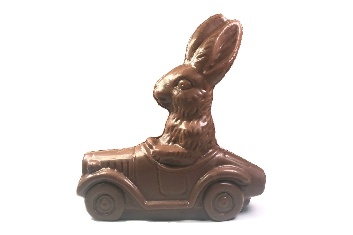 Rabbit in a Car